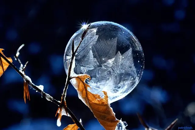 Comment trouver les meilleurs articles de Noël à revendre